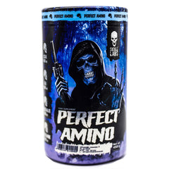Skull Labs Perfect Amino-30Serv.-450G